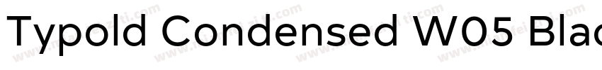 Typold Condensed W05 Black Regular字体转换